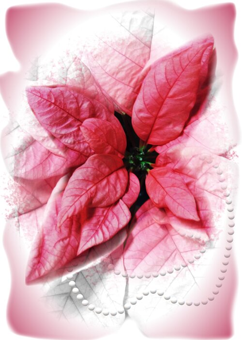 Pink Greeting Card featuring the digital art Pink Poinsettia with Pearls Seasonal Holiday by Delynn Addams