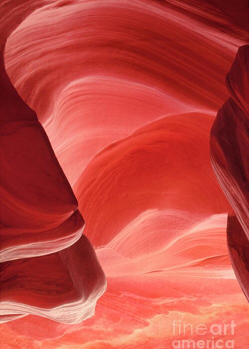Dave Welling Greeting Card featuring the photograph Pink Sandstone Detail Lower Antelope Slot Canyon Arizona by Dave Welling