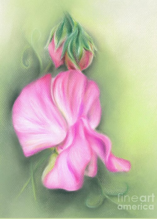 Botanical Greeting Card featuring the painting Pink Sweet Pea Flower and Buds by MM Anderson