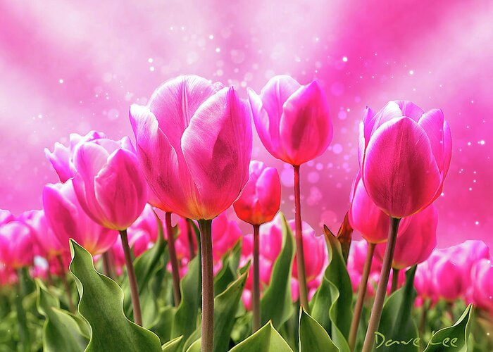 Tulips Greeting Card featuring the digital art Pink Tulips by Dave Lee