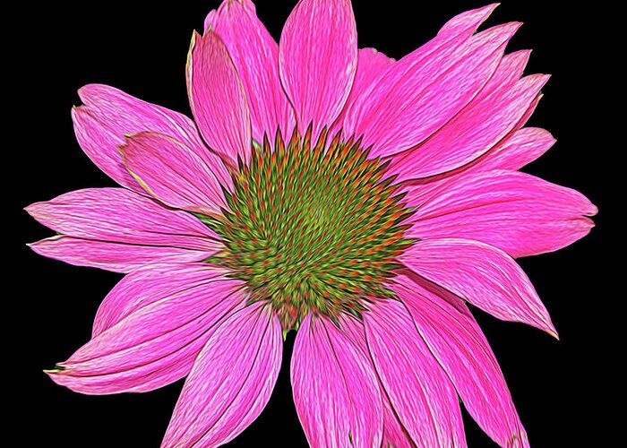 Flower Greeting Card featuring the photograph Pink on Black by Cathy Kovarik