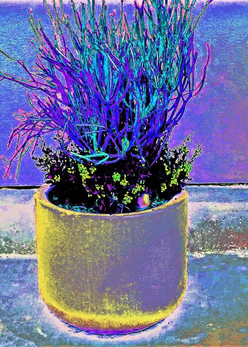 Plant. Color Greeting Card featuring the photograph Plant a la Painting by Andrew Lawrence