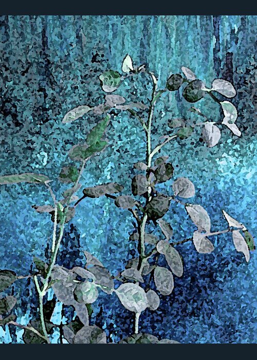 Plant Greeting Card featuring the photograph Plant in Blue Light by Corinne Carroll