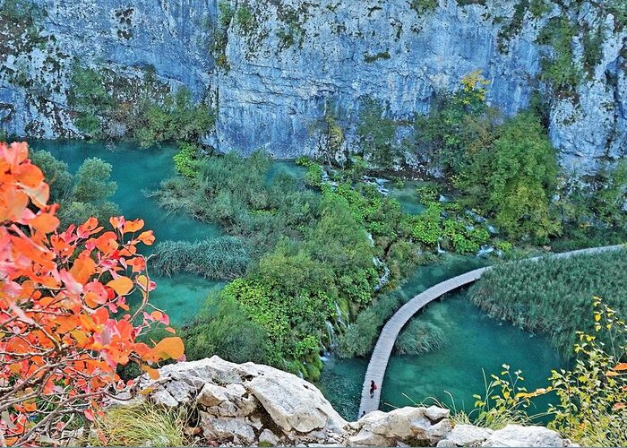 Plitvice Lakes Greeting Card featuring the photograph Plitvice Lakes View From Above by Yvonne Jasinski