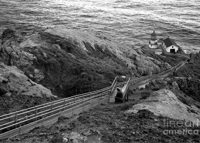 Point Reyes Greeting Card featuring the photograph Point Reyes Lighthouse Spring Landscape Black And White by Adam Jewell