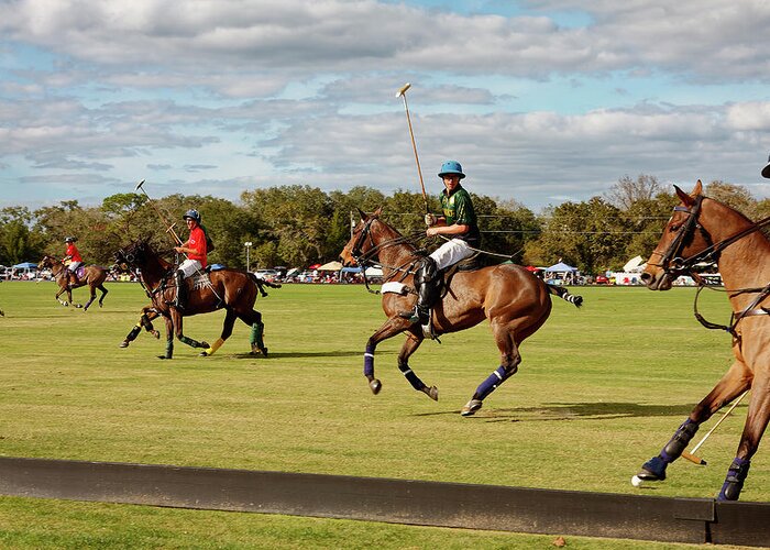 Florida Greeting Card featuring the photograph Polo Action by Sally Weigand