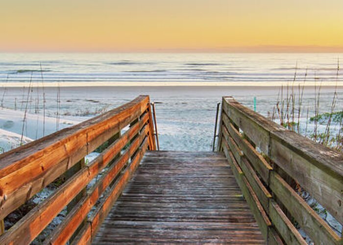 Ponce Inlet Greeting Card featuring the photograph Ponce de Leon Inlet Beach Path by Stefan Mazzola