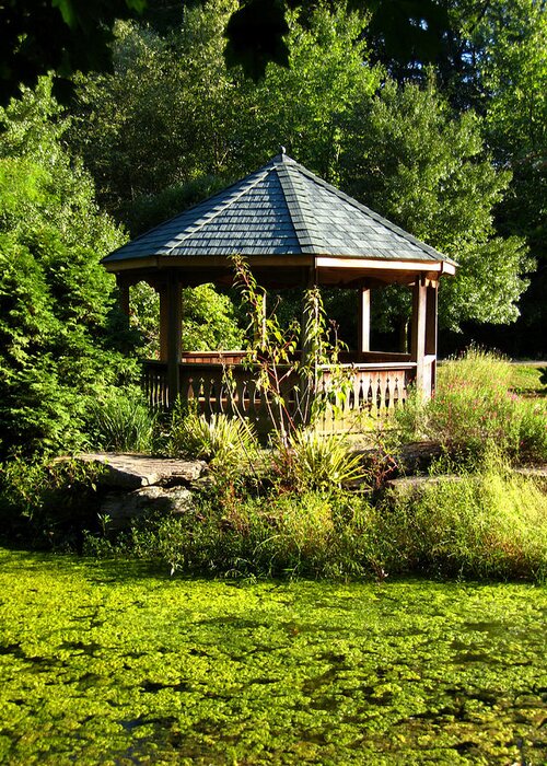 Tranquil Greeting Card featuring the photograph Pond and Gazebo in Golden Hour, Early Autumn by Steve Ember