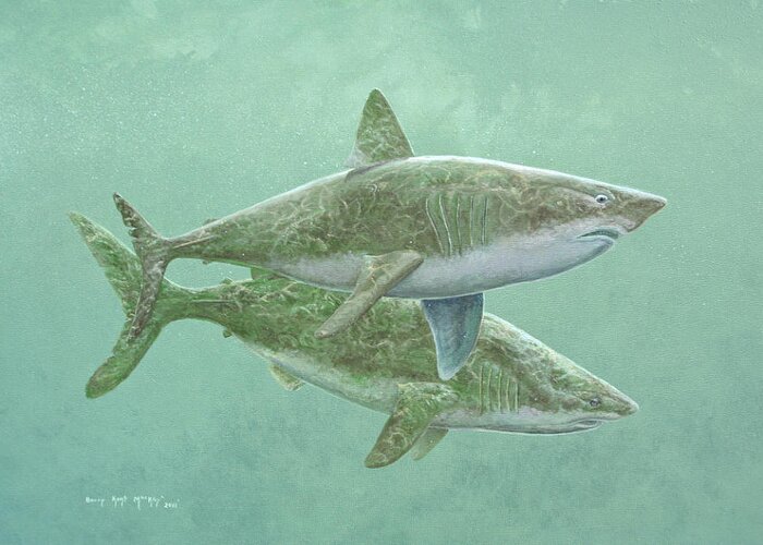 Porbeagle Shark Greeting Card featuring the painting Porbeagle Sharks by Barry Kent MacKay