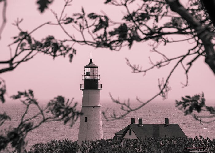 Lighthouse Greeting Card featuring the photograph Portland Head Light 3 by Cindy Robinson