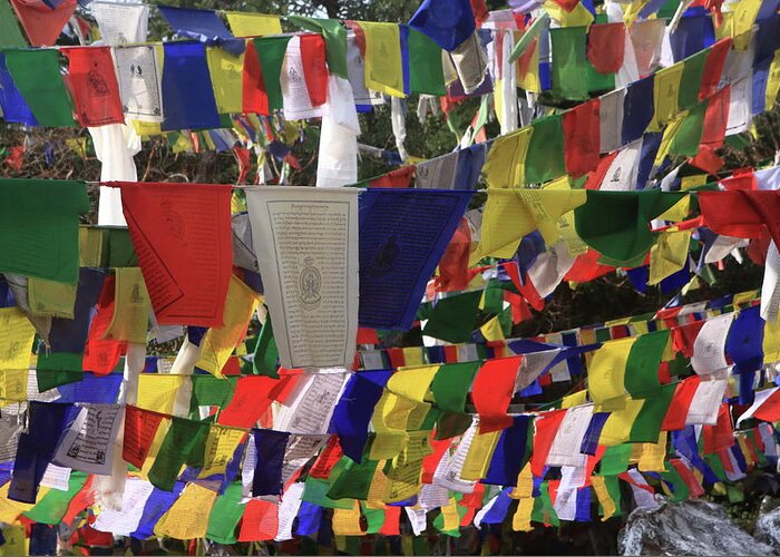 Buddhist Prayer Flags Greeting Card featuring the photograph Prayer Flags At The Tibetan Flag Temple #7 by Aidan Moran