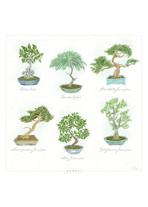 Bonsai Greeting Card featuring the mixed media Pretty Bonsai Trees by Shari Warren