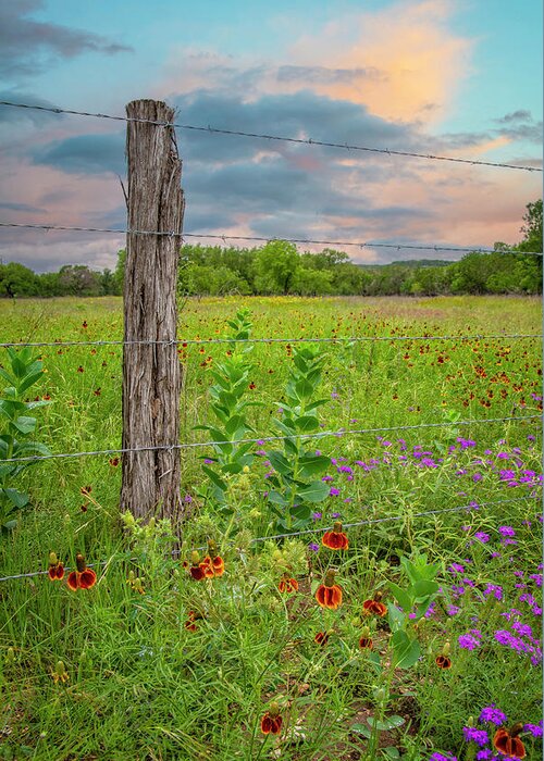 Texas Hill Country Greeting Card featuring the photograph Pretty Skies Over Spring Wildflowers by Lynn Bauer