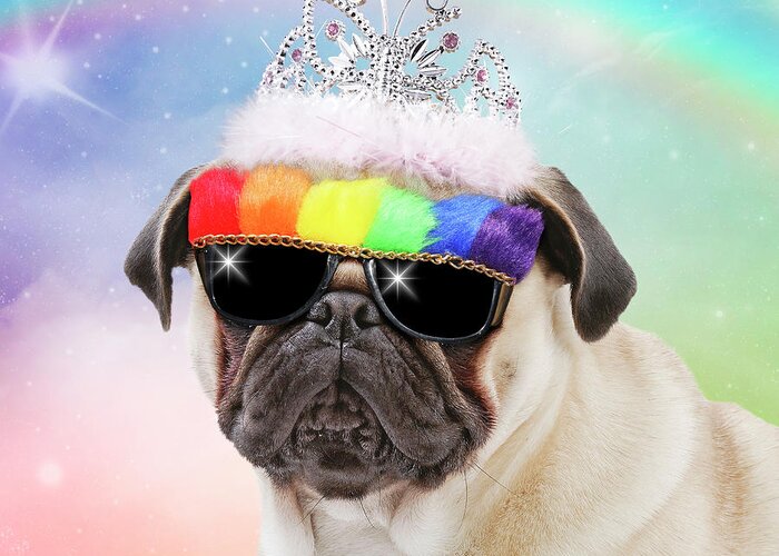 Pug dog wearing princess tiara and Rainbow sunglasses Greeting