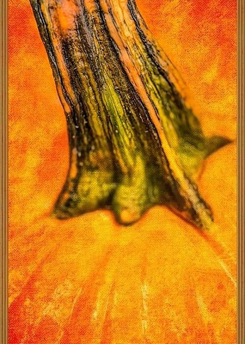 Pumpkin Greeting Card featuring the painting Pumpkin Stalk by Juliette Becker