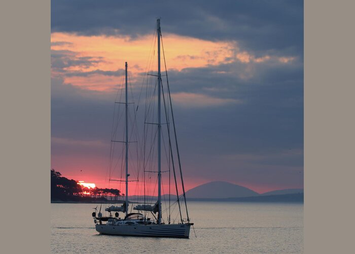 Sailboat Greeting Card featuring the photograph Punta Bay at Sunset by Robert McKinstry