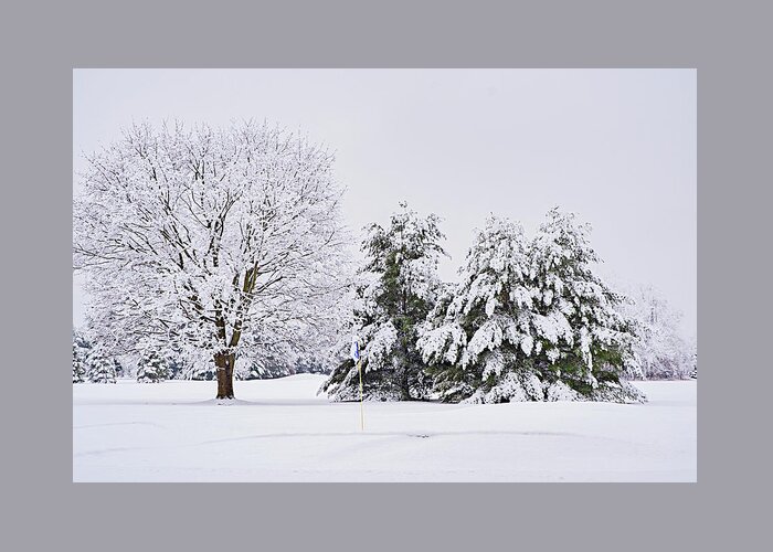 Lakelands Golf And Country Club Greeting Card featuring the photograph Putting Green in Winter by Jill Love
