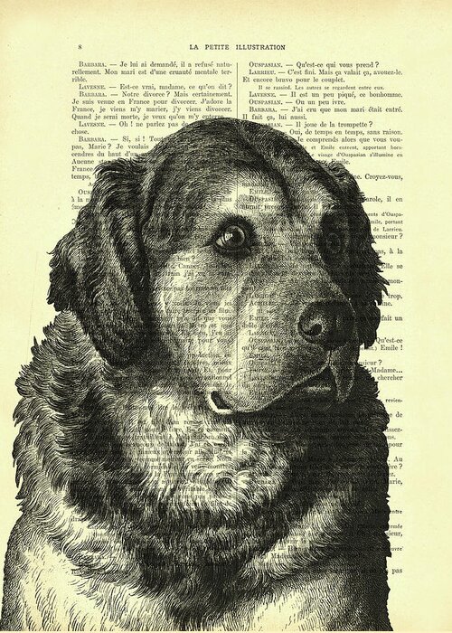Pyrenean Mountain Dog Greeting Card featuring the digital art Pyrenean Mountain Dog Portrait by Madame Memento