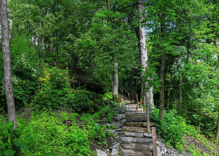 Quarry Trails Metro Park Hiking Trail Greeting Card featuring the photograph Quarry Trails Metro Park Hiking Trail by Dan Sproul