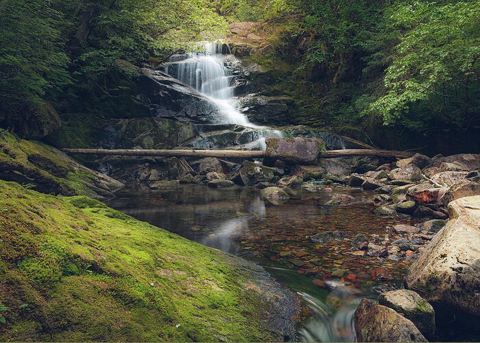 Waterfall Greeting Card featuring the photograph Quiet Falls 2 by Michael Rauwolf