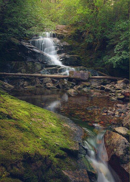 Waterfall Greeting Card featuring the photograph Quiet Falls by Michael Rauwolf