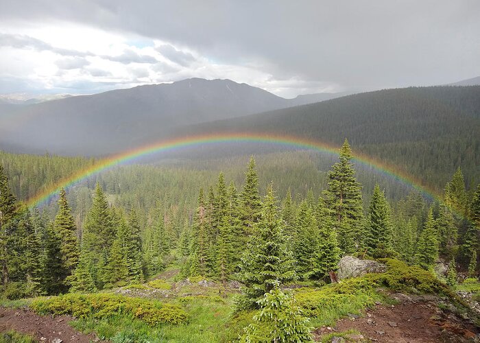 Rainbow Greeting Card featuring the photograph Rainbow in the Valley by Aaron Spong