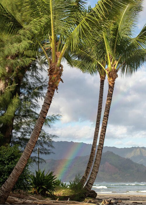 Hawaii Greeting Card featuring the photograph Rainbow Split by Tony Spencer