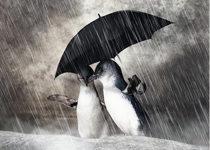 Penguin Greeting Card featuring the mixed media Rainy Date by Ed Taylor