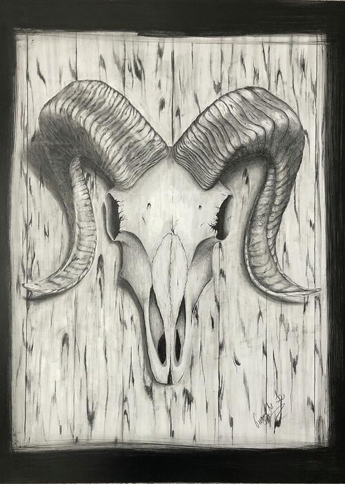 Ram Greeting Card featuring the drawing Ram Skull by Gregory Lee