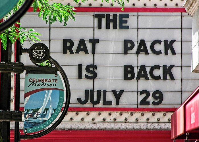 Madison Greeting Card featuring the photograph Rat Pack Is Back by Steven Ralser