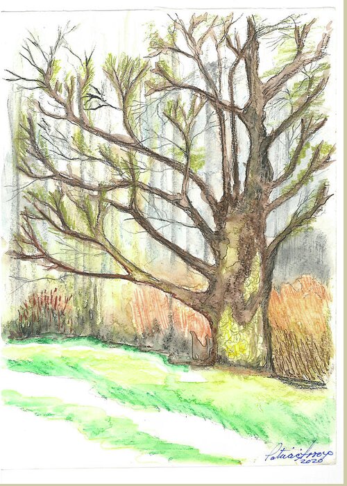 Trees Greeting Card featuring the painting Reaching by Patricia Arroyo
