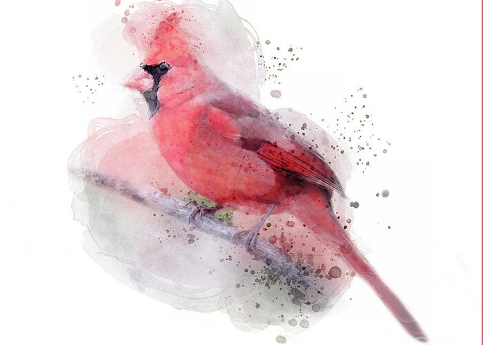 Red Cardinal Greeting Card featuring the digital art Red Cardinal Watercolor by Jayne Carney