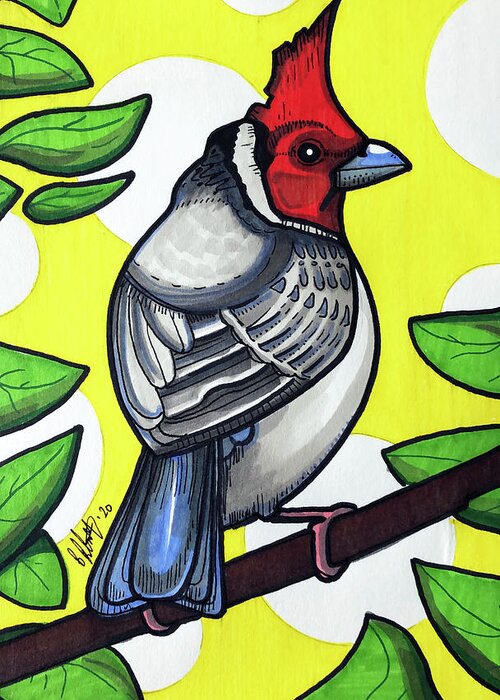 Red Crested Cardinal Greeting Card featuring the drawing Red Crested Cardinal by Creative Spirit