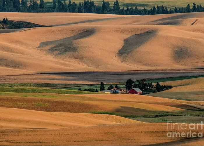 Farm Greeting Card featuring the photograph Red Farmhouse in the Wheat Fields by Connie Carr