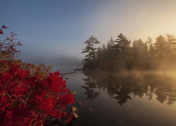 Blue Mountain-birch Coves Lakes Wilderness Area Greeting Card featuring the photograph Red Huckleberry and Misty Island by Irwin Barrett