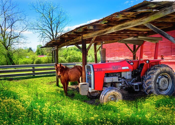 255 Greeting Card featuring the photograph Red Massey Ferguson Tractor at the Farm by Debra and Dave Vanderlaan