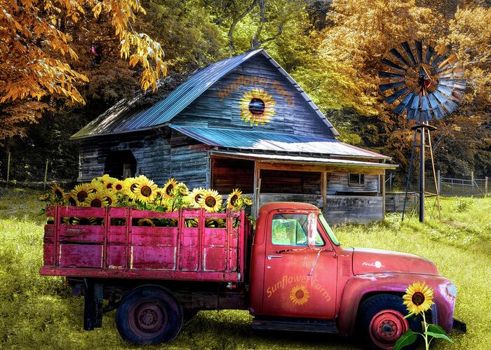 Red Greeting Card featuring the photograph Red Truck at the Sunflower Farm by Debra and Dave Vanderlaan