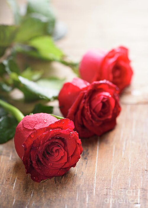 Roses Greeting Card featuring the photograph Red valentines roses closeup by Jelena Jovanovic