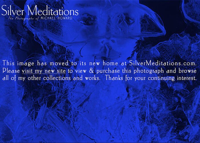  Greeting Card featuring the photograph Redirect by Michael Howard