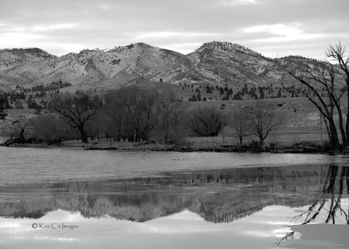 Black And White Greeting Card featuring the photograph Reflections in Icy Waters BW by Kae Cheatham