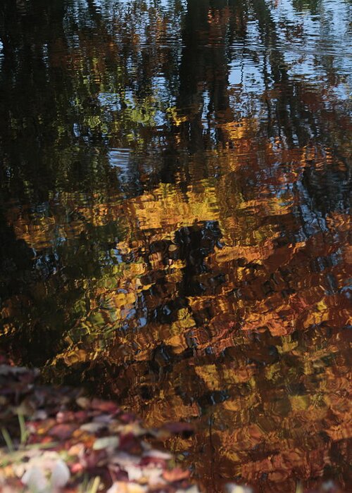 Reflection Greeting Card featuring the photograph Reflection of Autumn Trees in Water by Valerie Collins