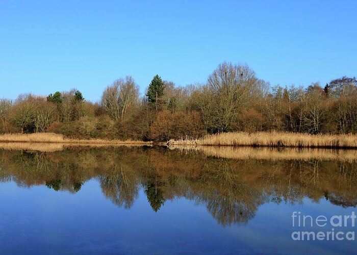 Water Greeting Card featuring the photograph Reflection on Mill Pool by Stephen Melia