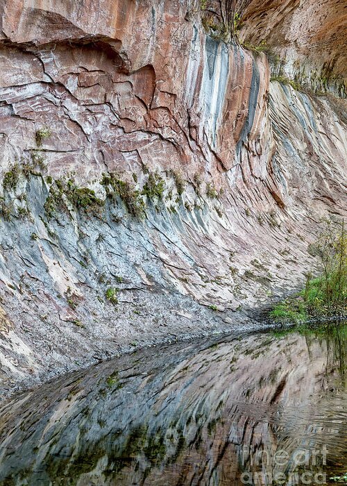 Sandra Bronstein Greeting Card featuring the photograph Reflections in Oak Creek Canyon by Sandra Bronstein