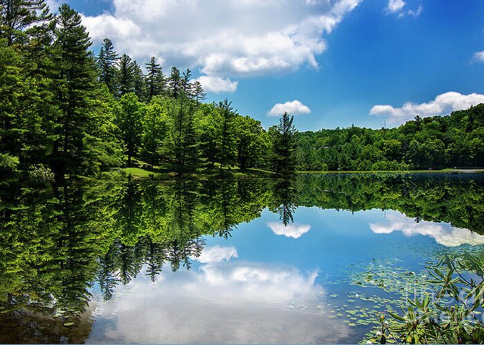 Lake Greeting Card featuring the photograph Reflections on Bass Lake by Shelia Hunt