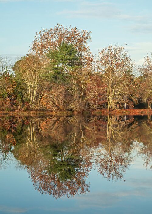 Autumn Greeting Card featuring the photograph Reflections on Batsto Lake by Kristia Adams