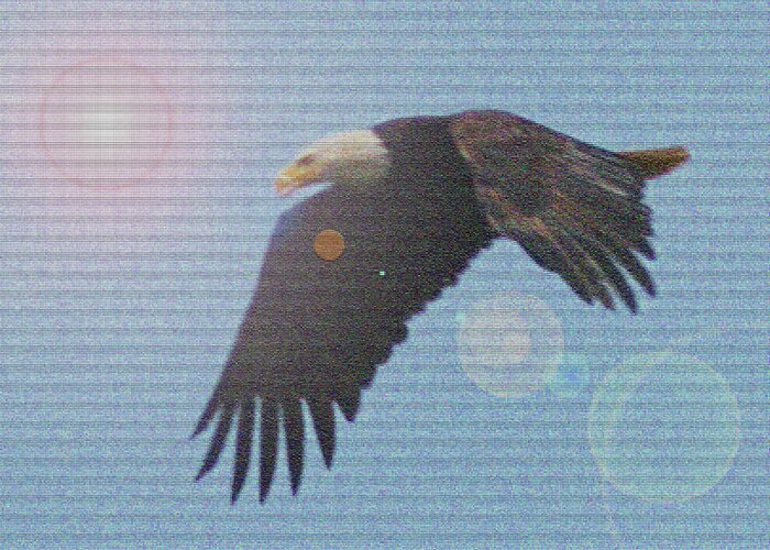 America Greeting Card featuring the digital art Reflective Eagle by David Desautel