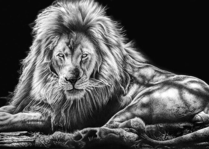 Lion Greeting Card featuring the drawing Reliance by Casey 'Remrov' Vormer