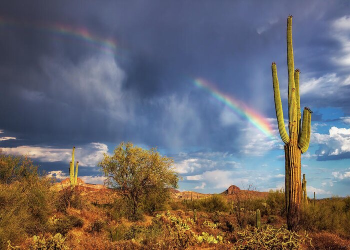 Arizona Greeting Card featuring the photograph Respite From The Storm by Rick Furmanek