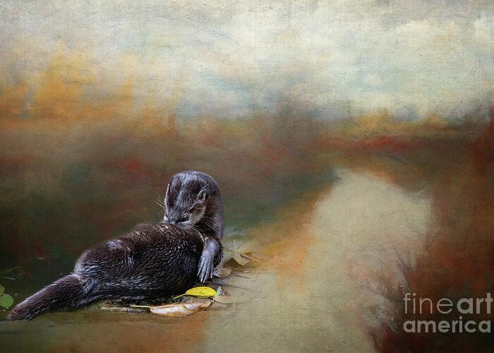 Spotted-necked Otter Greeting Card featuring the photograph Resting by the River by Eva Lechner