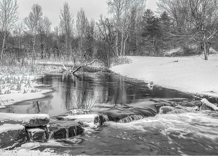 Rice Creek Greeting Card featuring the photograph Rice Creek in Winter by Rod Best